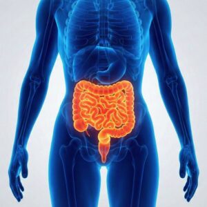 Illustrazione dell'intestino – breath test al lattulosio per SIBO a domicilio MEDyLAB