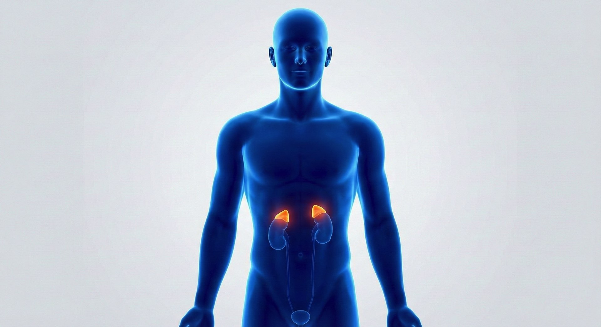 Adrenal Stress Index (Cortisolo e DHEAS salivare)