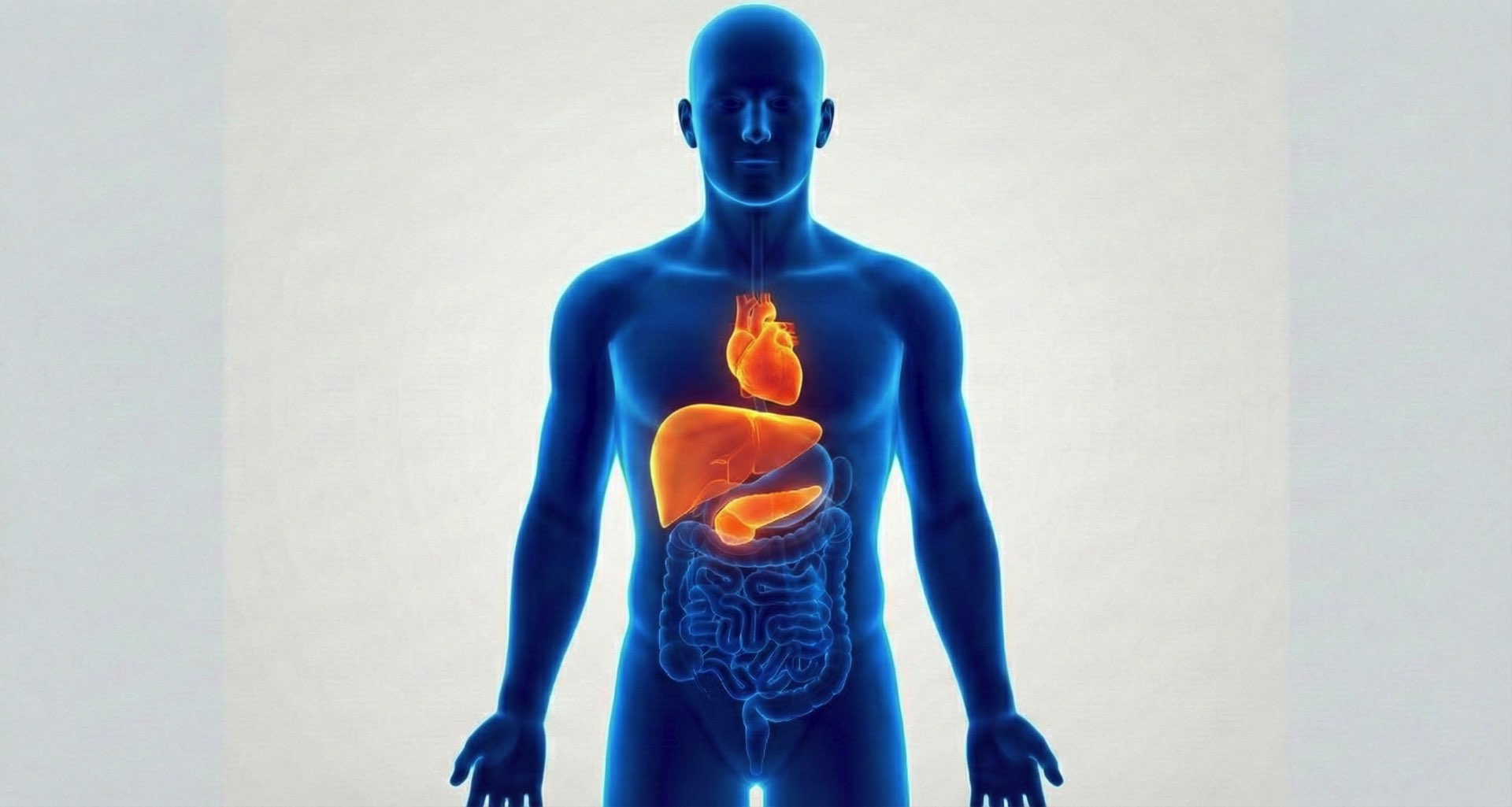 Stima del rischio Cardio-metabolico