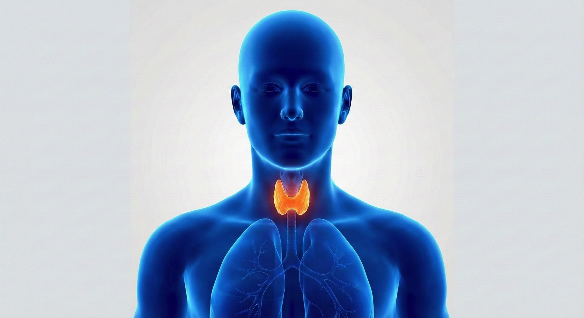 Profilo tiroideo avanzato (TSH, FT4, FT3)