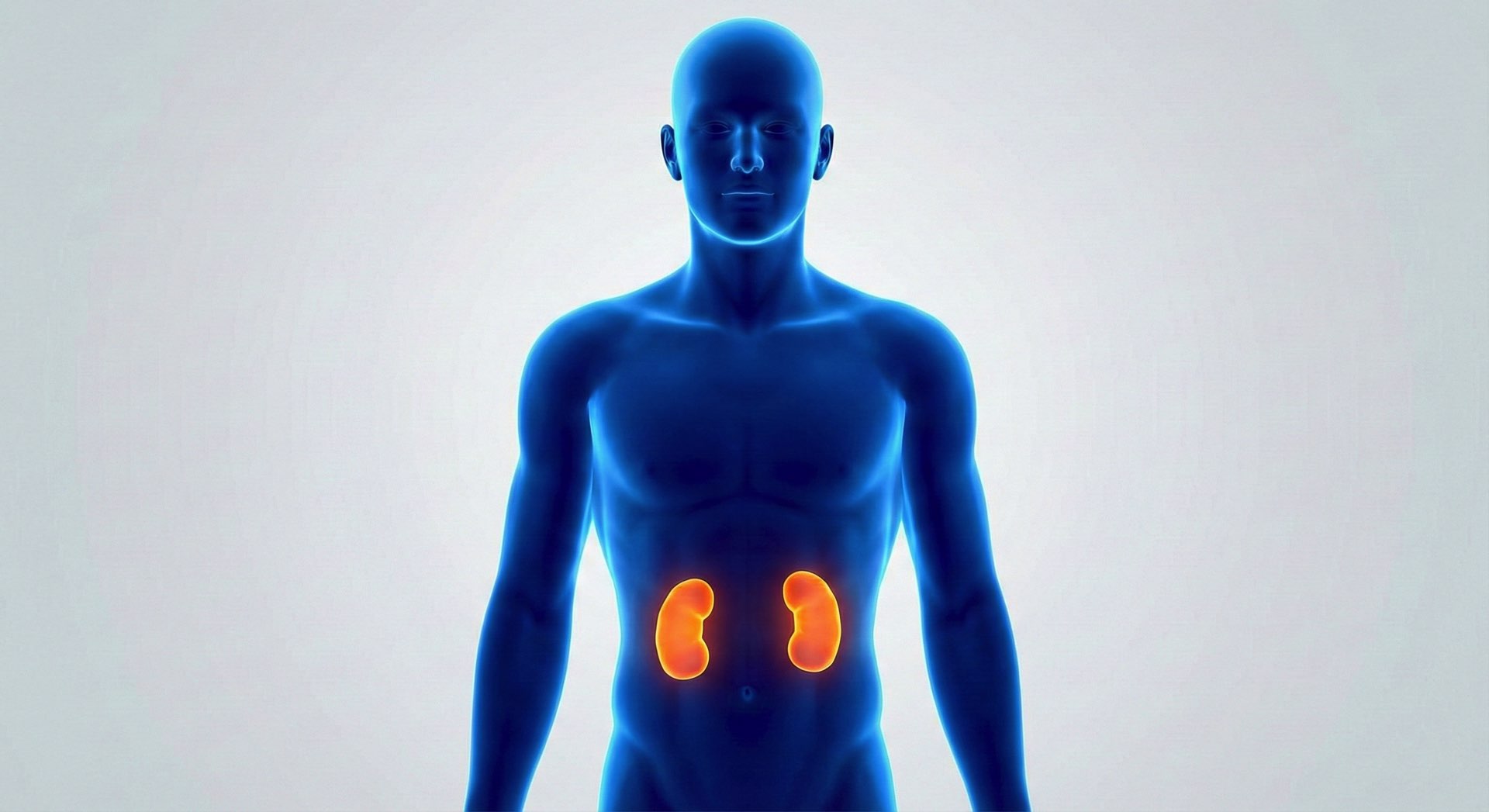 Funzionalità renale avanzata