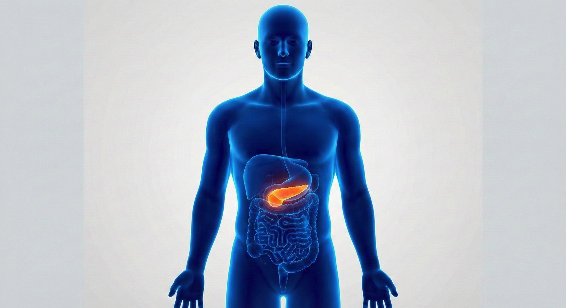 OGTT – Curva da carico orale di glucosio – elaborazione